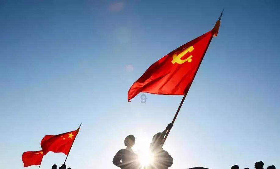 阴暗森林